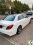 Photo 64 plate white Mercedes C220 AMG line Premium. BlueTEC