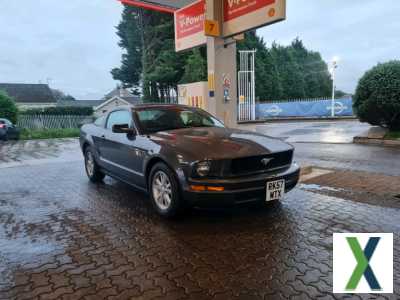 Photo FORD MUSTANG 4.0 V6