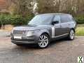 Photo 2019 Land Rover Range Rover 4.4 SDV8 Autobiography 4dr Auto ESTATE DIESEL Automa