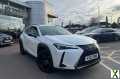 Photo 2022 Lexus UX Hatchback 250h 2.0 5dr CVT (without Nav) SUV Hybrid Automatic