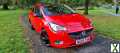 Photo 2015 Corsa E Ecoflex Limited Edition