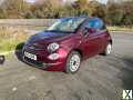 Photo Fiat, 500, Hatchback, 2021, Manual, 999 (cc), 3 doors