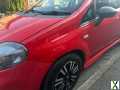 Photo Fiat, PUNTO, Hatchback, 2012, Manual, 875 (cc), 3 doors