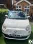 Photo FIAT 500 1.2L Lounge