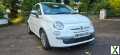 Photo 2008 FIAT 500 POP. MOTED TO AUGUST.. CHOICE OF 8