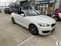 Photo BMW 2 Series 2.0 218d Sport Convertible