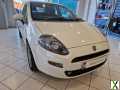 Photo 2016 Fiat Punto 1.2 Easy + Euro 6 5dr HATCHBACK Petrol Manual