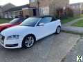 Photo Audi, A3, Convertible, 2013, Manual, 1598 (cc), 2 doors